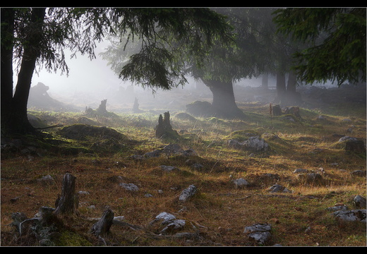 ...és akkor pár percre kisütött a nap...