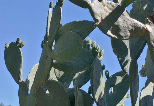 CRW 08381