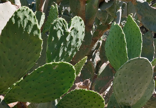 CRW 08384