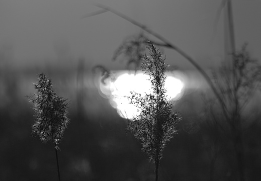 CRW 4258a