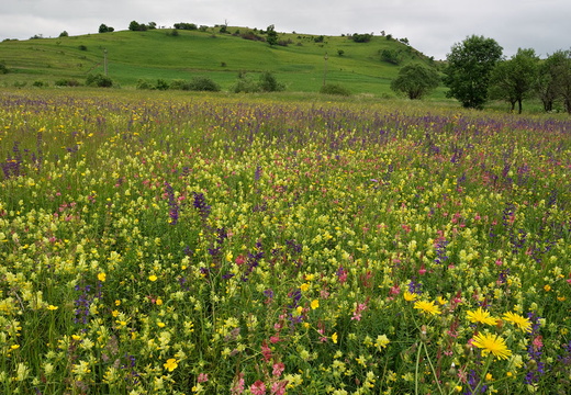 Cifra-Kalotaszeg (Nádasmente)