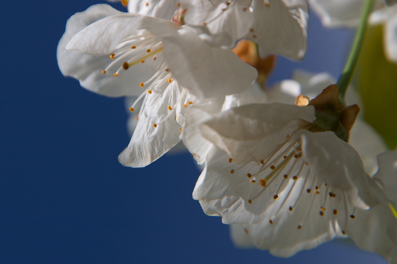 CRW_27998.jpg