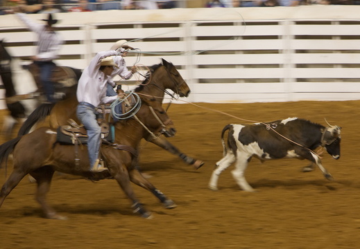 Rodeo Show in Fort Worth