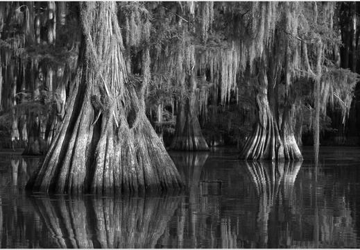 Vasutas Művelődési Ház, Debrecen