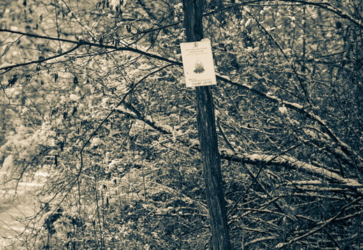 B013173