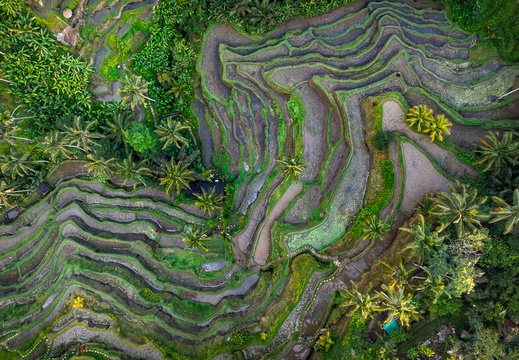 DJI 20250816012606 0004 D