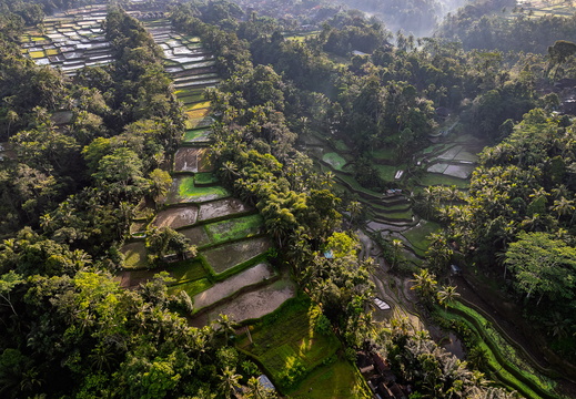 DJI 20250816012928 0019 D-DxO