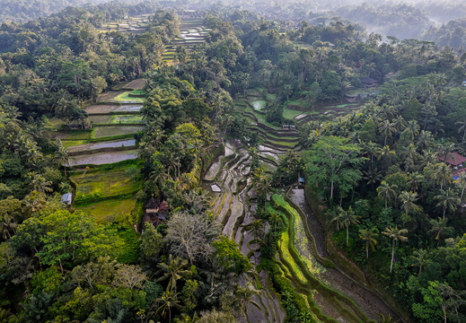 DJI 20250816013040 0025 D-DxO