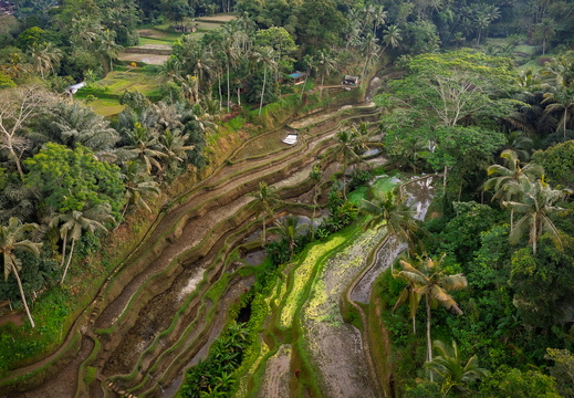 DJI 20250816013144 0028 D-DxO