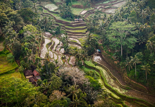 DJI 20250816013654 0049 D-DxO