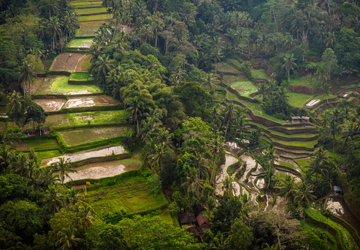 DJI 20250816013717 0052 D-DxO