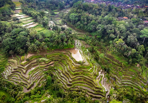 DJI 20250816013806 0055 D-DxO