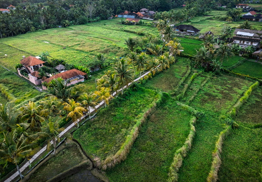 DJI 20250816115220 0088 D