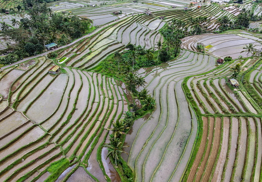 DJI 20250817084150 0172 D-DxO