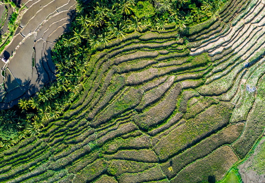 DJI 20250819091818 0276 D