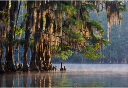 Fotóklub Pályázat, Debrecen (2010 ősz)