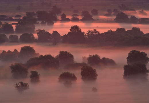 Exhibitions/Kiállítások