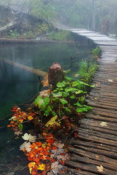 Horvatorszag_Plitvice.jpg