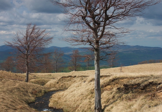 Romania Elmult a tel