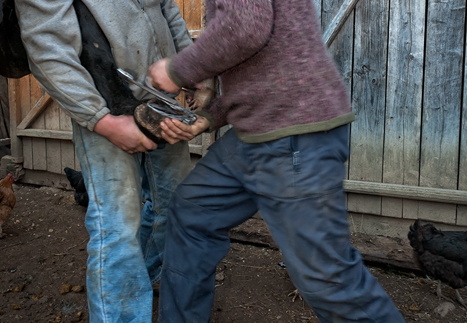 Erdély fotókon és viseleteken 