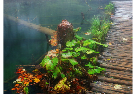 CRW 23385d 30x45 frame