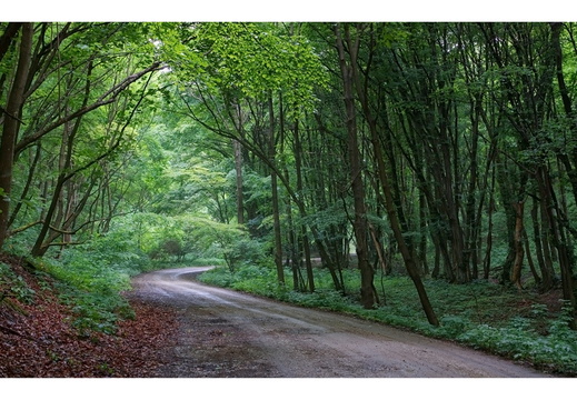 CRW 29906e 42x27 frame