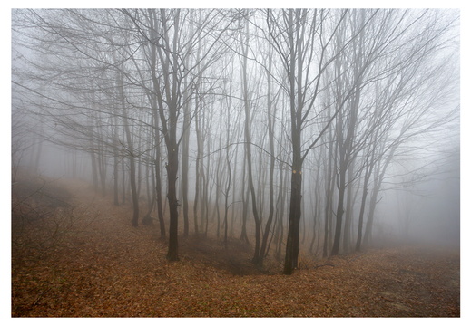  MG 06385a 30x45 frame