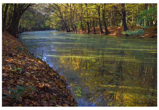  MG 15427a 30x45 frame