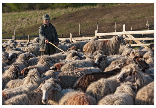  MG 44568d 30x45 frame