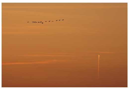  MG 56313 30x45 frame