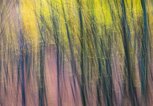 Oszi kaleidoszkop-II