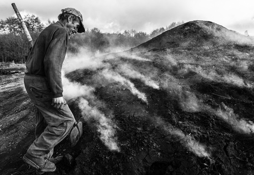 Szenegetok a Hargitan-II