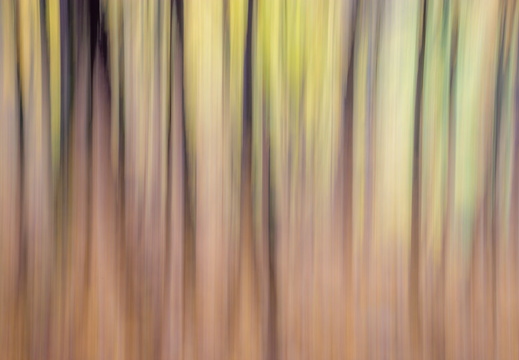 90 éves a Debreceni Fotóklub