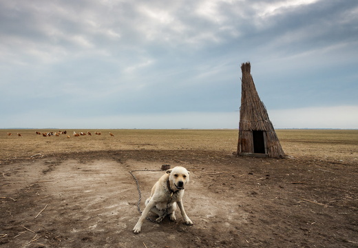 Illes Gabor Hortobagyi eletkep