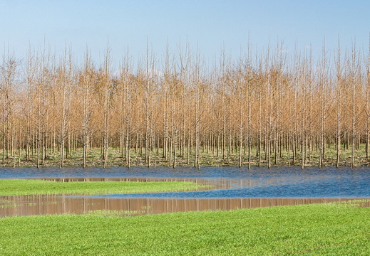 Illes Gabor Tavaszi szel