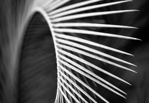 VOKE Termeszetes kepek